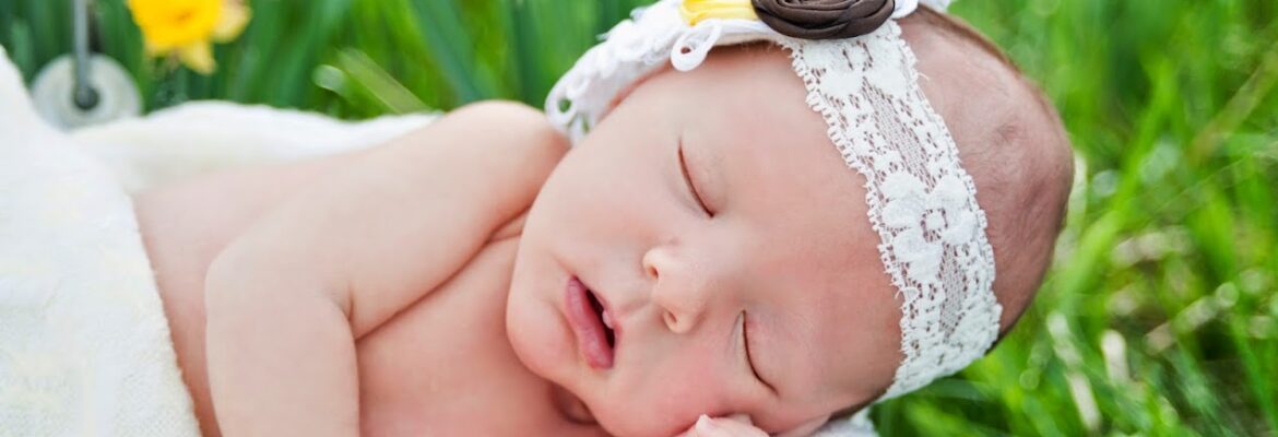 Whitehorse Design Photography North Vernon Indiana