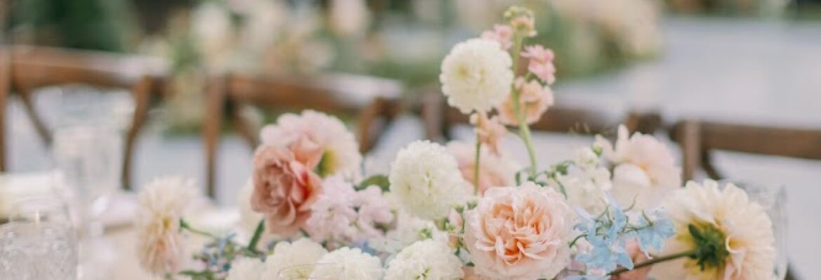 Ashley Burns Photography