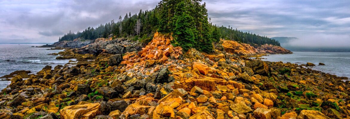 Seymour Digital Consulting, LLC