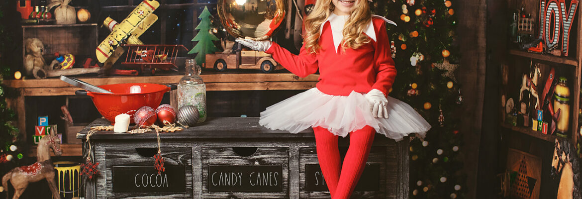 Lens & Light Photography