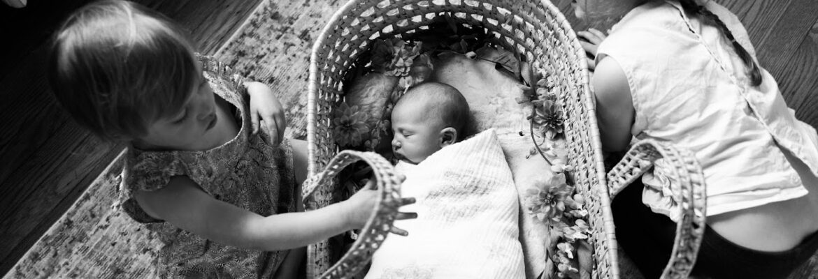 Erin Ingraffia Photography