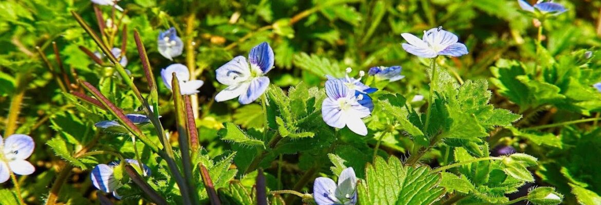 Fred Littell Photography