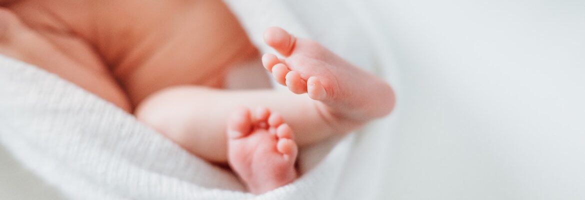 Scarlet Oak Photography, LLC