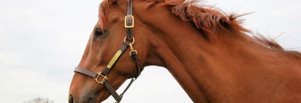 You’ve Been Captured Photography