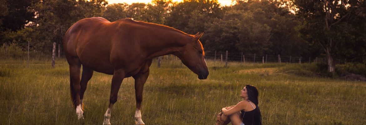 Vera Magee Photography