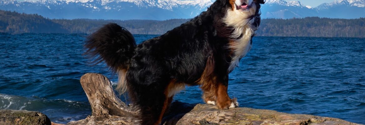 Kathleen Vesterby Photography