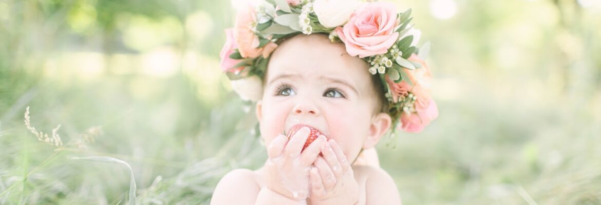 Life in Bloom Photography