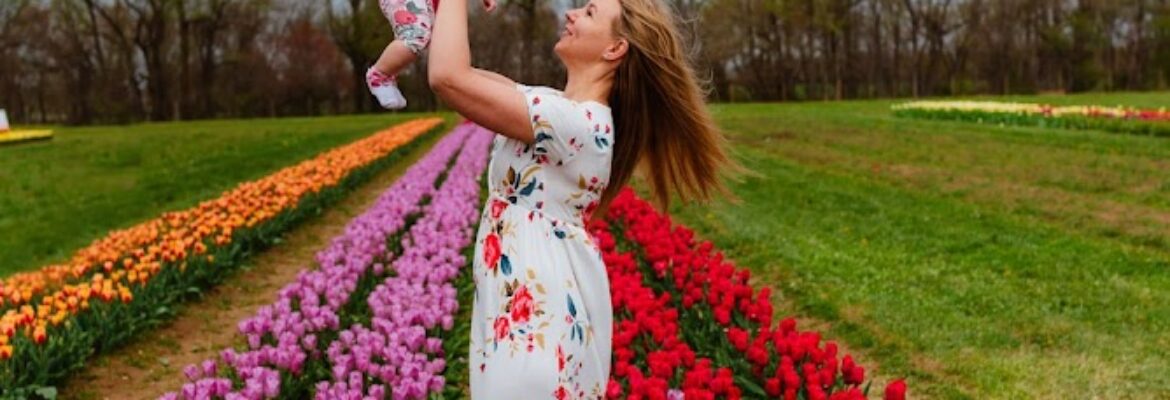 Nichole Tippin Photography