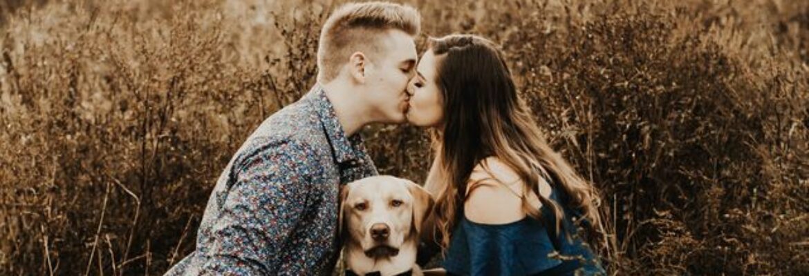 Mindy Sargent Photography