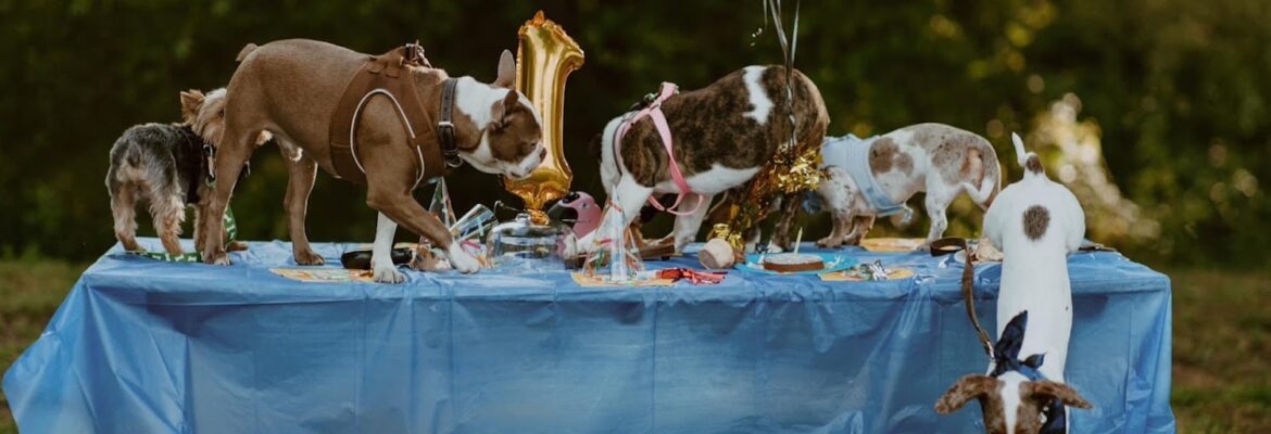 Zoie Southern Garrett Photography