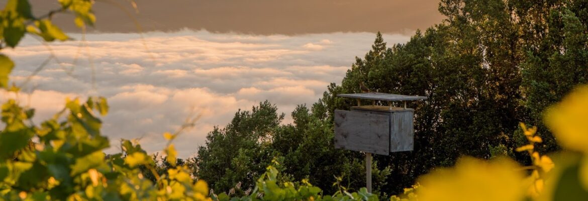 Adam Decker Photography