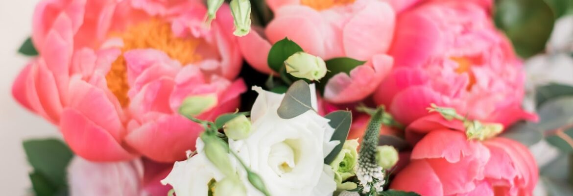 Shawna Meadors Photography