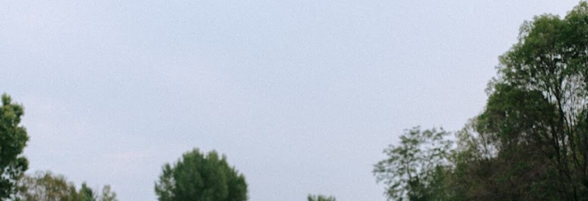 Carly Stopp Photography