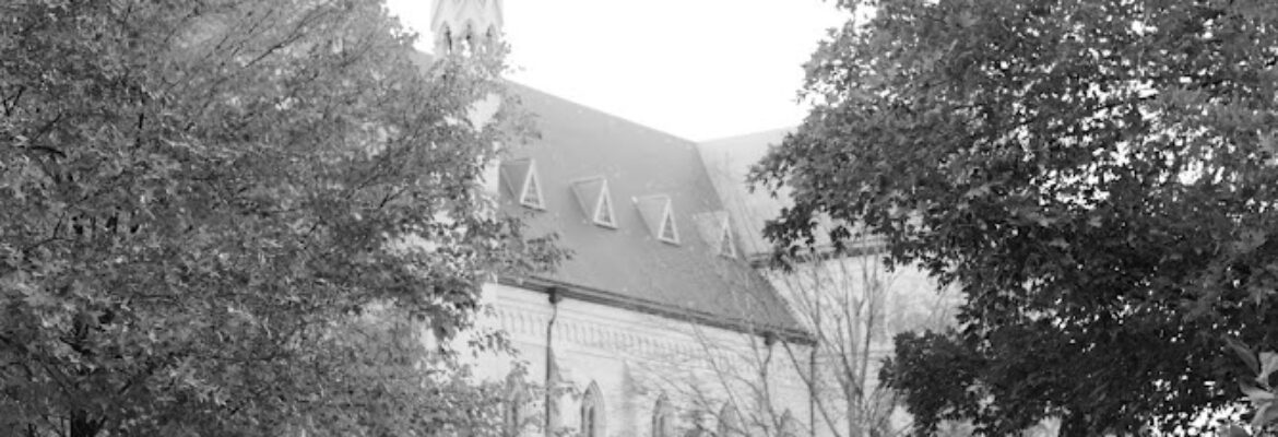 Erika Aileen Photography