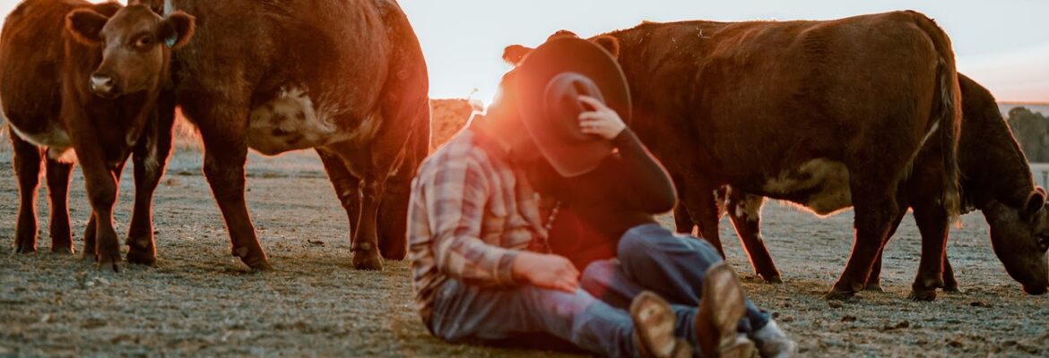 Debra Lynn Photography