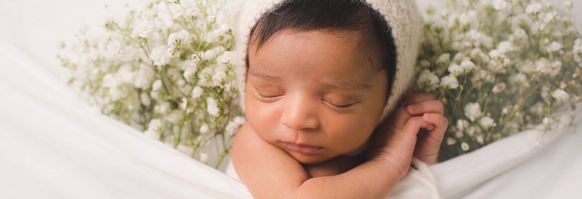 Four Birds Photography