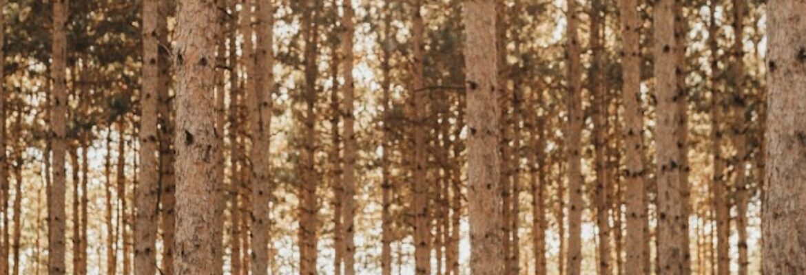 Erika Hansen Photography