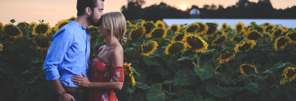 Curtis Aho Photography