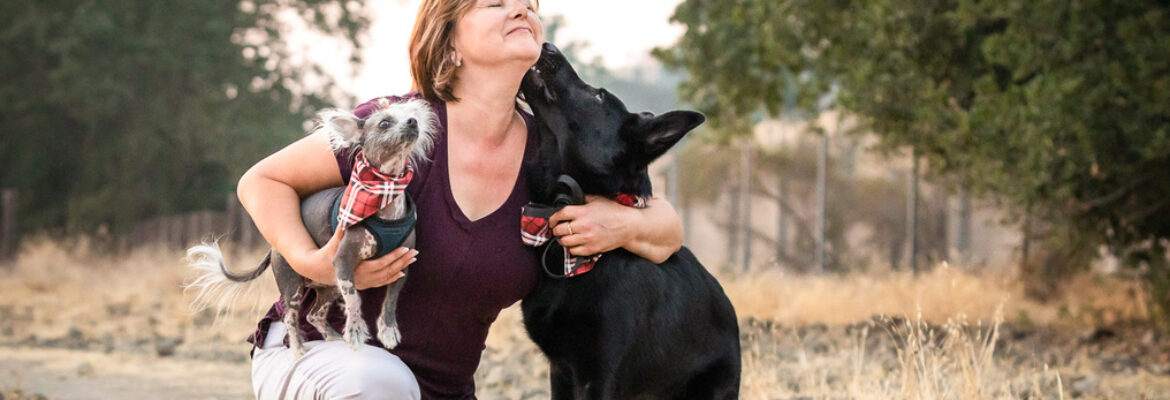 Angie Rose Pet Photography