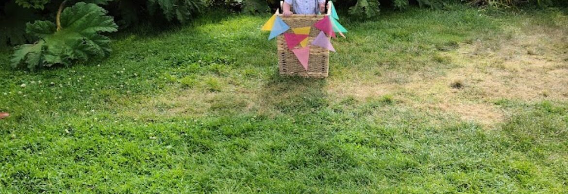 Summer Bear Photography