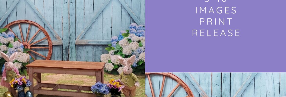 Wishing Wells Photography