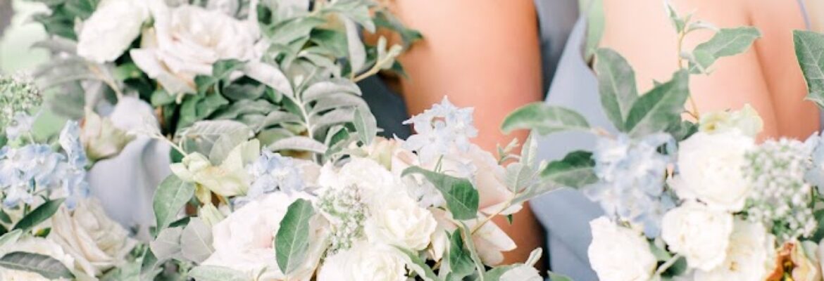 Angelica Marie Photography