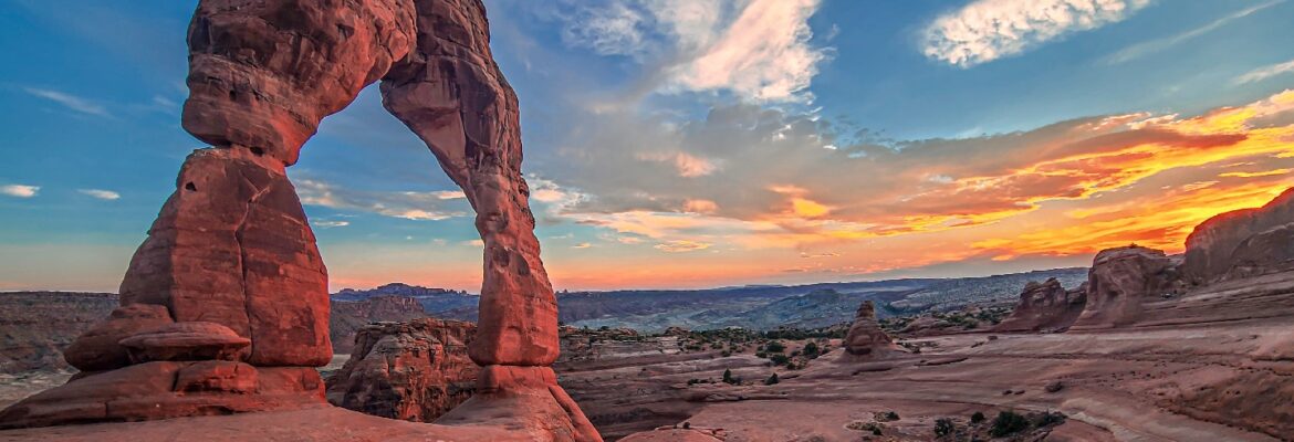 Lost in the Trees Media