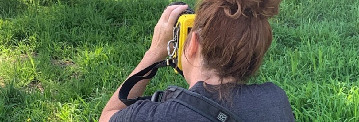 C. Phelps Photography