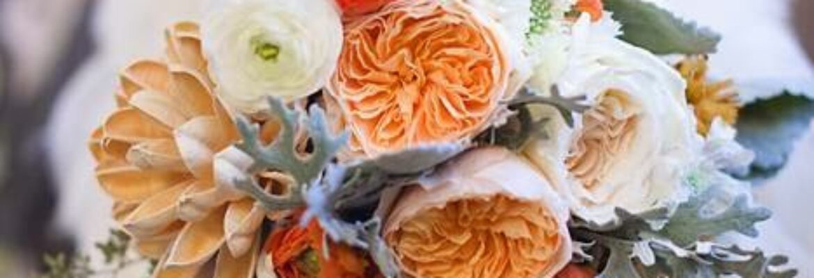 Ely Fair Photography, LLC