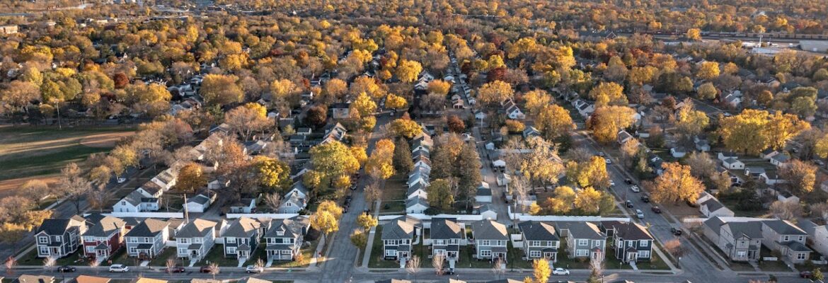 Alleycat 360 | Photography