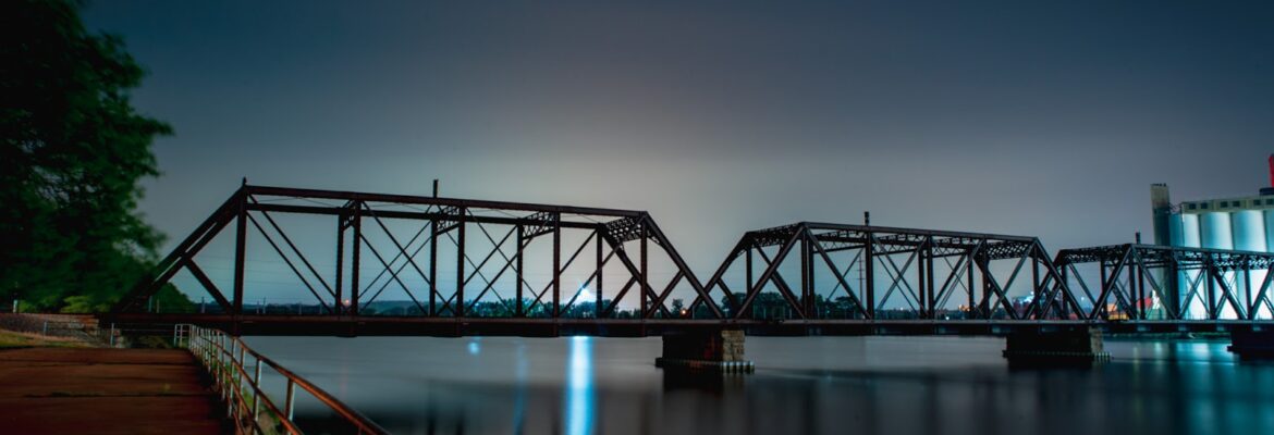 Shadow Fox Photography