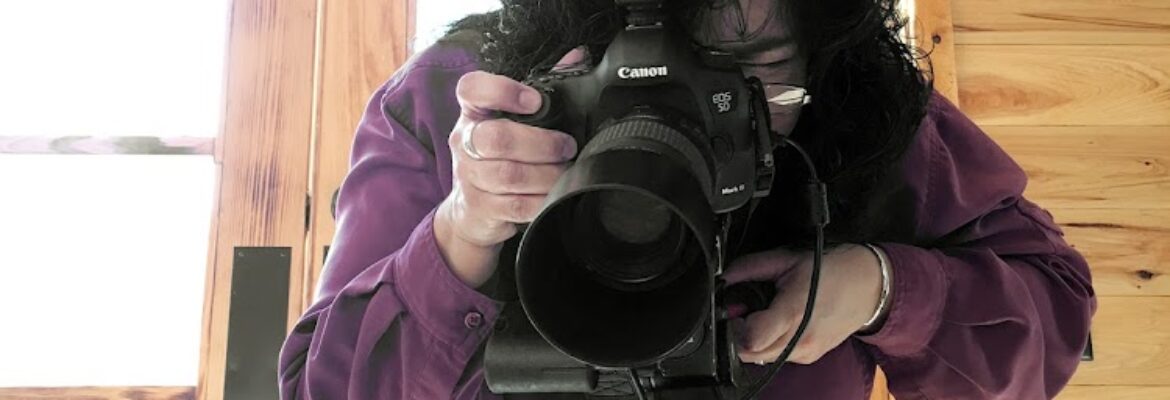 Debra Gloria Photography