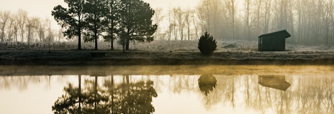 Reflective photography