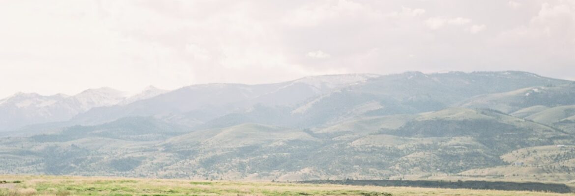 Stella K Photography