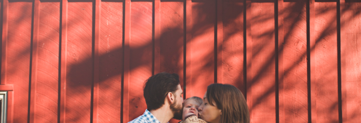 Susan Lebowitz Photography