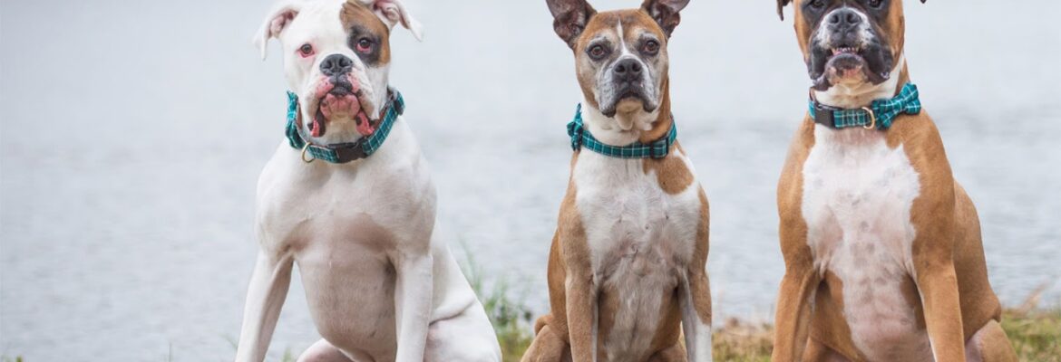 Jeanne Taylor Photography