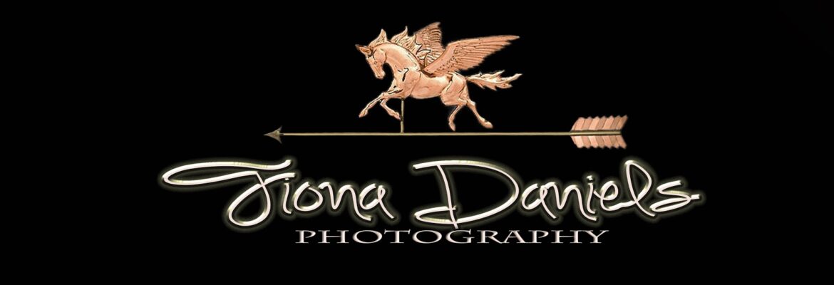 Fiona Daniels Photography