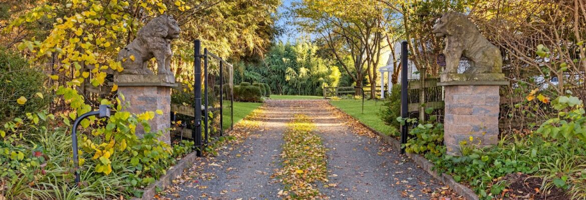 Mike Sperando Photo & Video