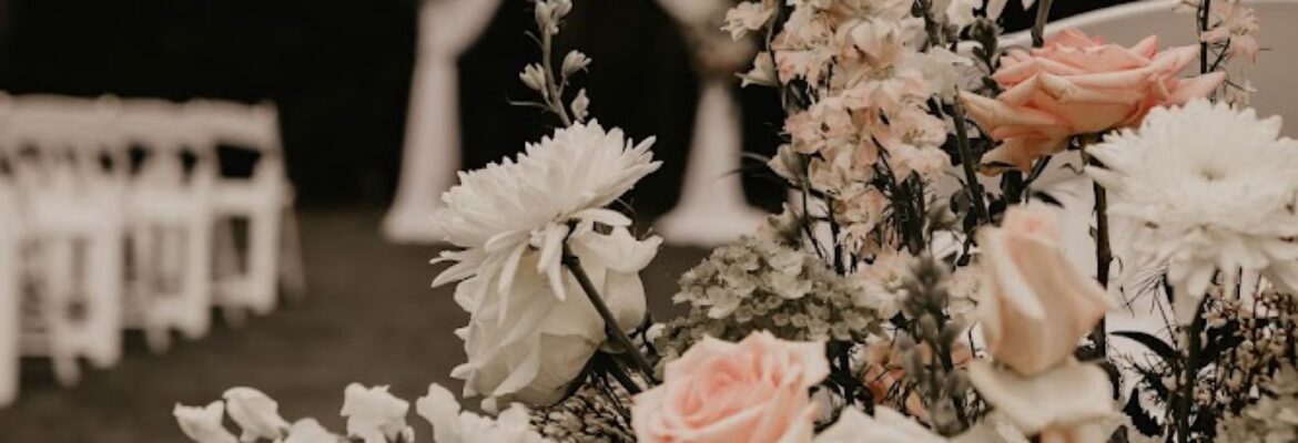 Lily + Rae Photography