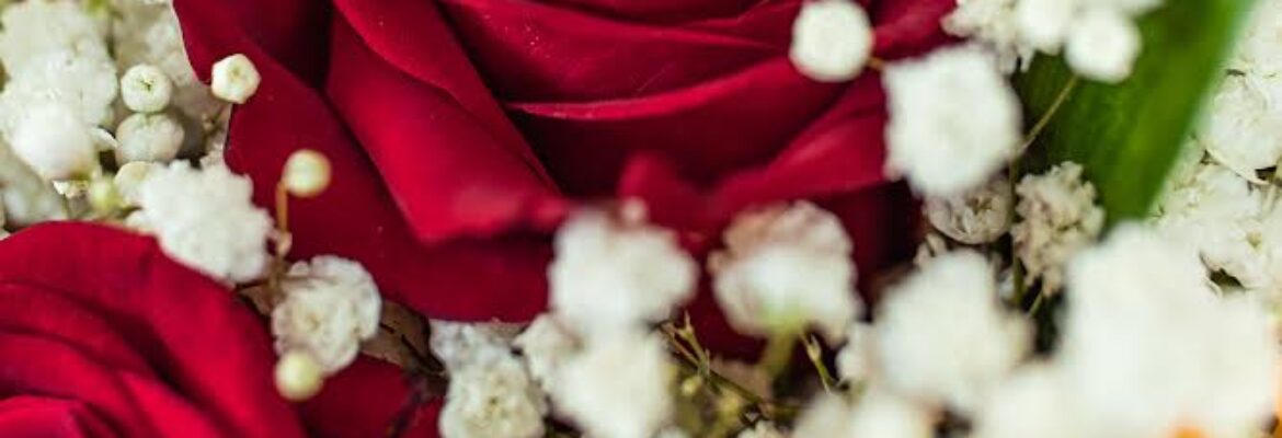 Glo Photo and Design LLC.