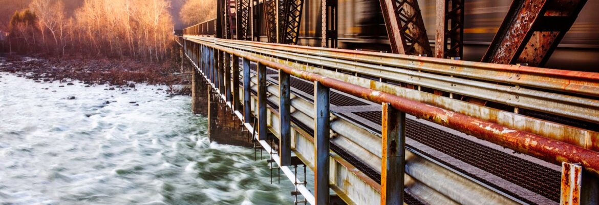 Molly Wolff Photography