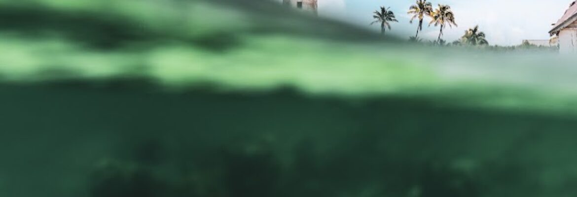 Sinking Sun Photography