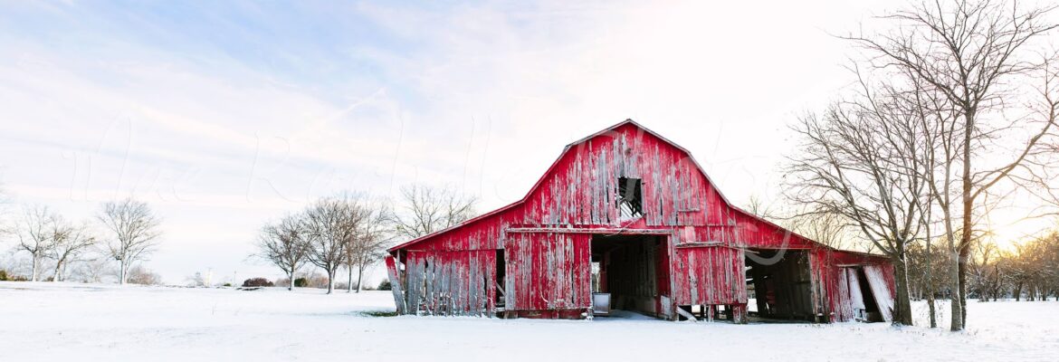 Mae Rachelle Photography