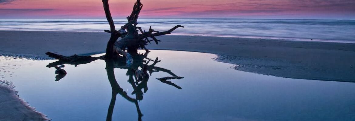 The Siggins Photography