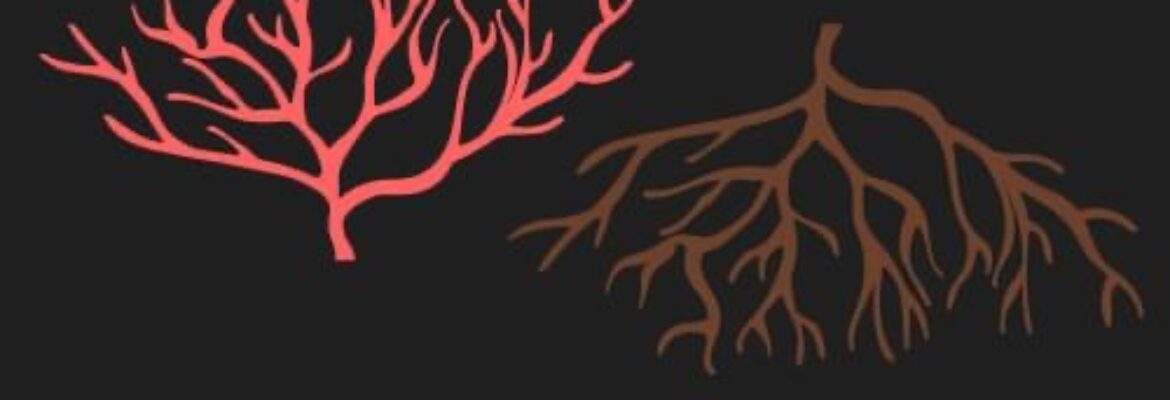Coral + Pine, LLC