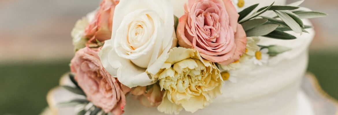 Jaclyn C. Photography