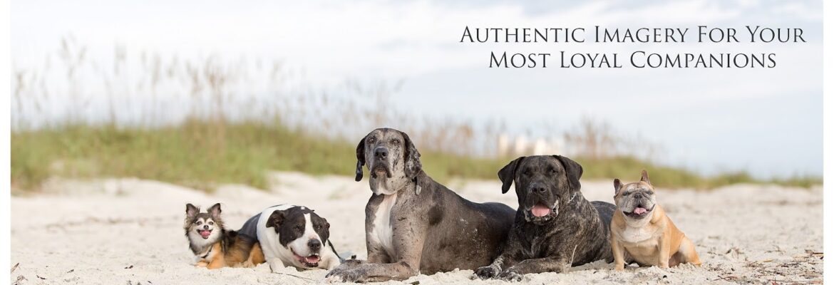 Angie Kerins Photography