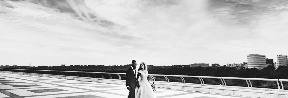 Olga Gurton Photo and Video