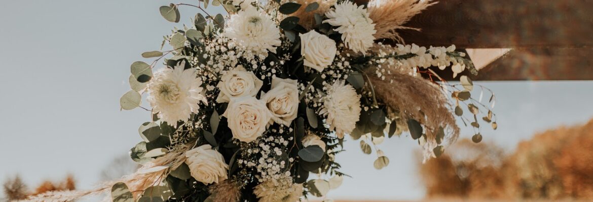 Jasmin Kemp Photography