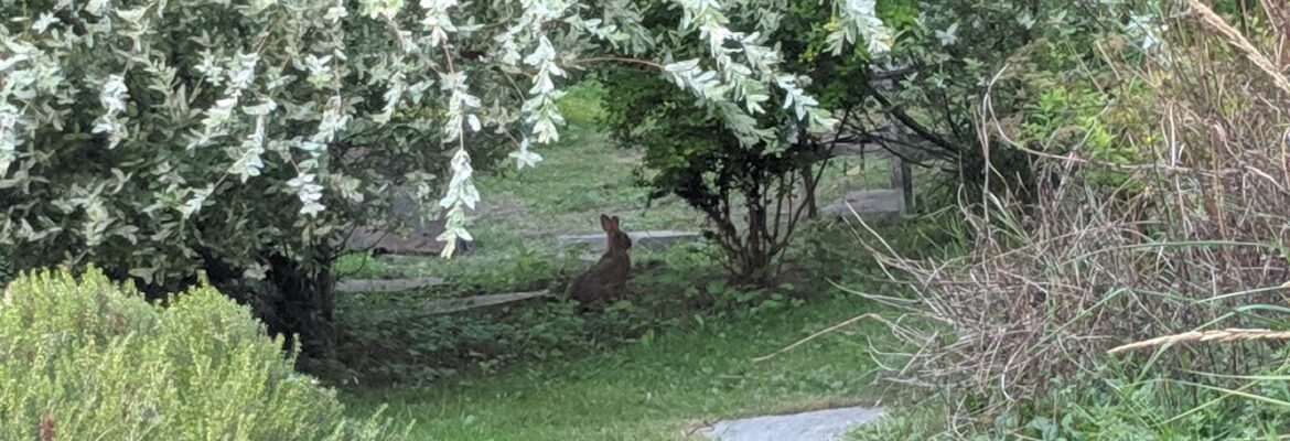 Barbara Roser Photography